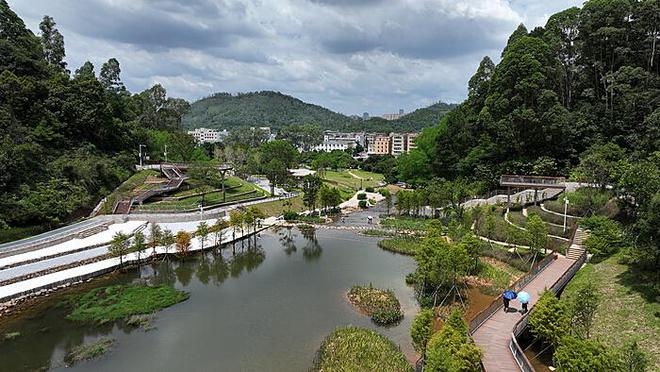 重庆水库奇观：大坑显露，湖水鱼群消失之谜